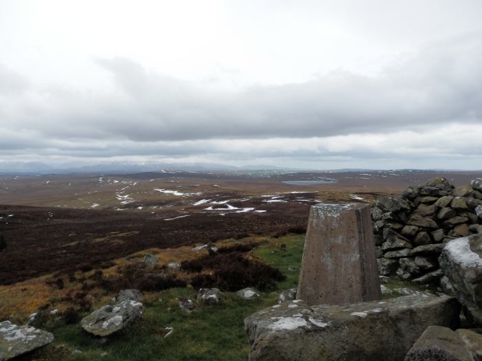 The summit of Mwdwl-eithin