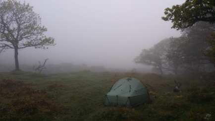 Wildcamp #047: Dartmoor